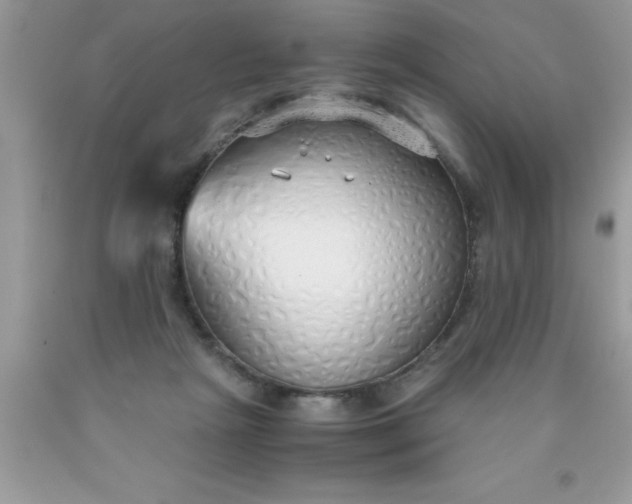 X0000090450265200707272222