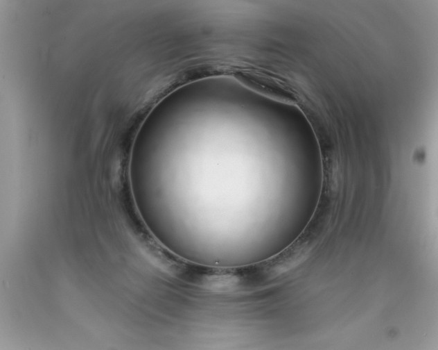 X0000090450266200707272222