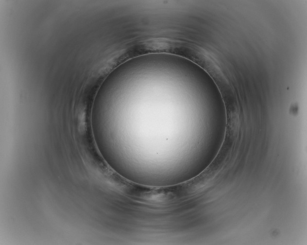 X0000090450267200707272222