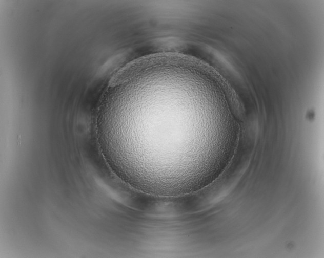 X0000090450268200707272222