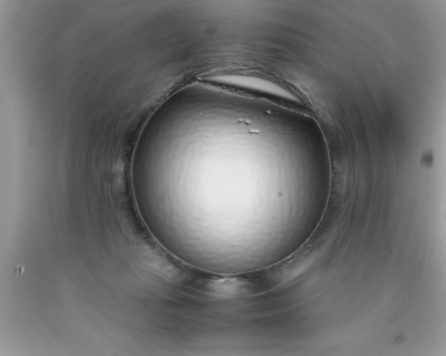 X0000090450269200707272222