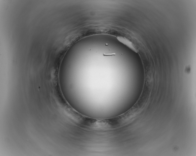 X0000090450270200707272222