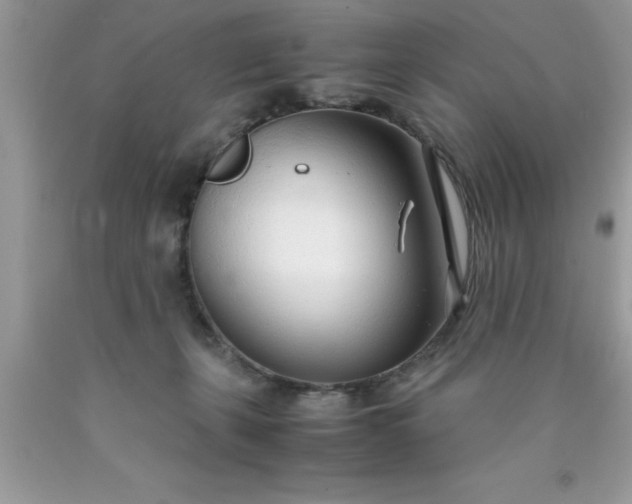 X0000090450271200707272222