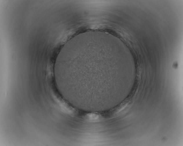 X0000090450272200707272222