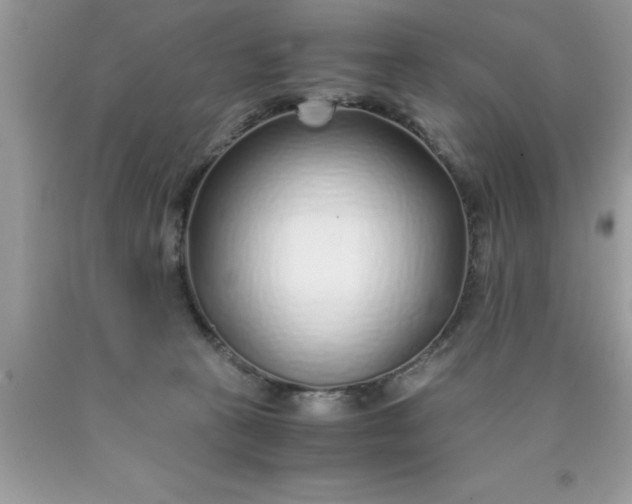 X0000090450273200707272222