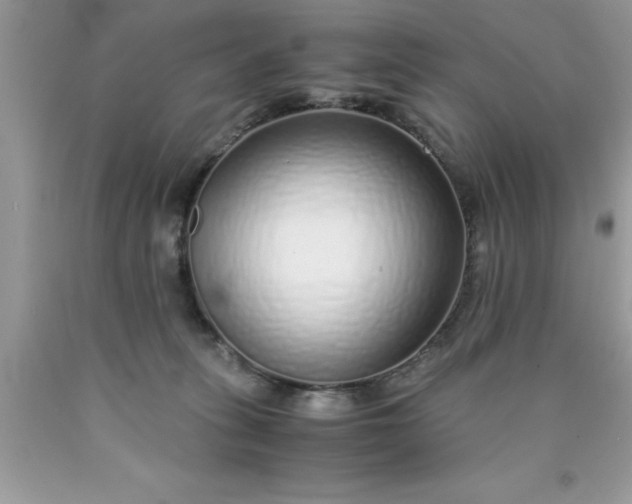 X0000090450275200707272222