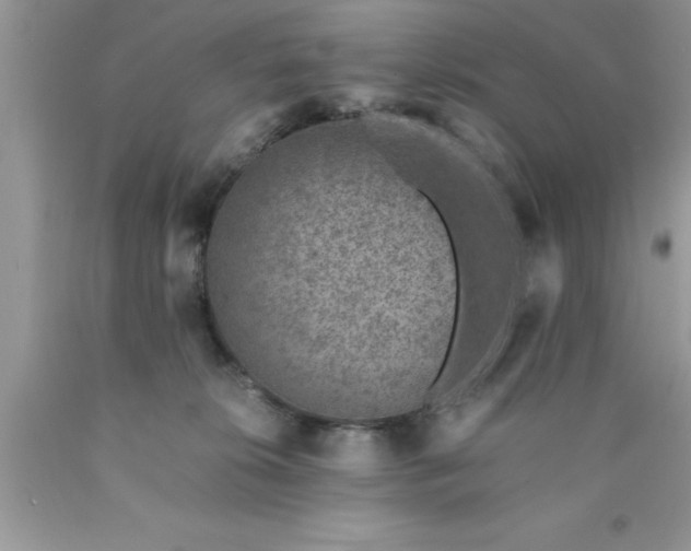 X0000090450276200707272222