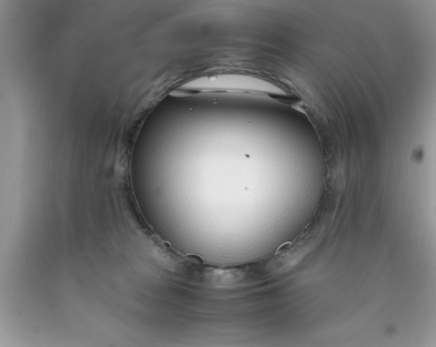 X0000090450277200707272222