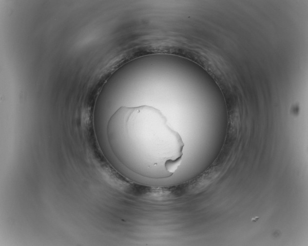 X0000090450278200707272222