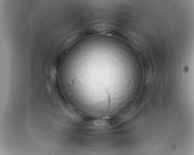 X0000090450279200707272222