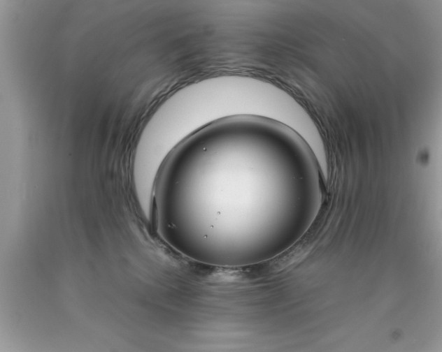 X0000090450280200707272222