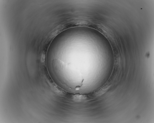 X0000090450281200707272222