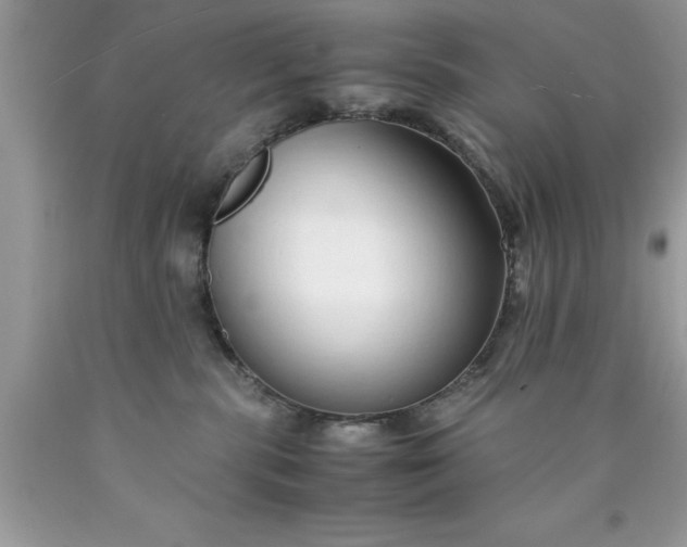 X0000090450283200707272222