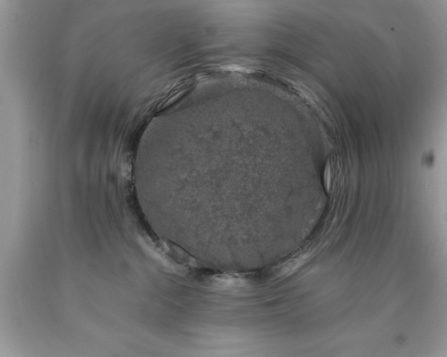 X0000090450284200707272222