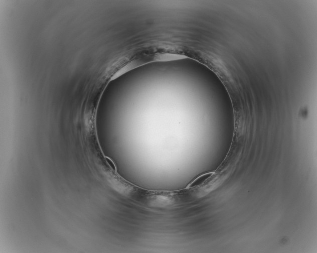 X0000090450285200707272222