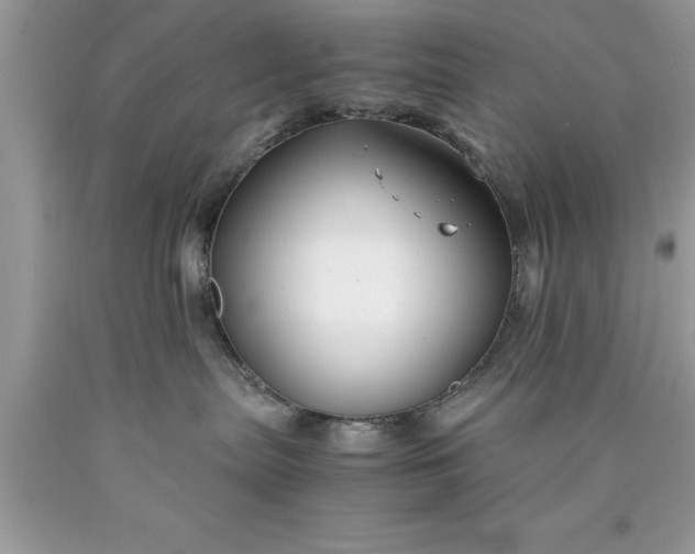 X0000090450287200707272222