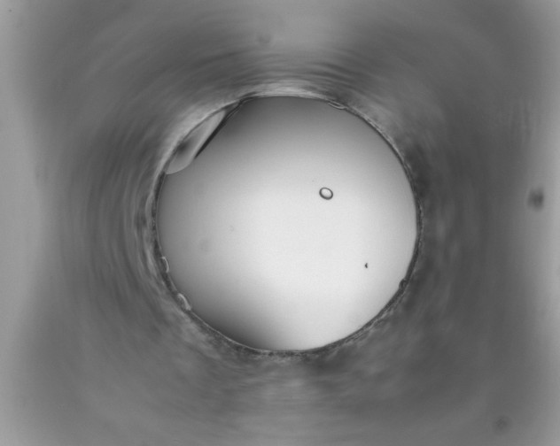 X0000090450289200707272221