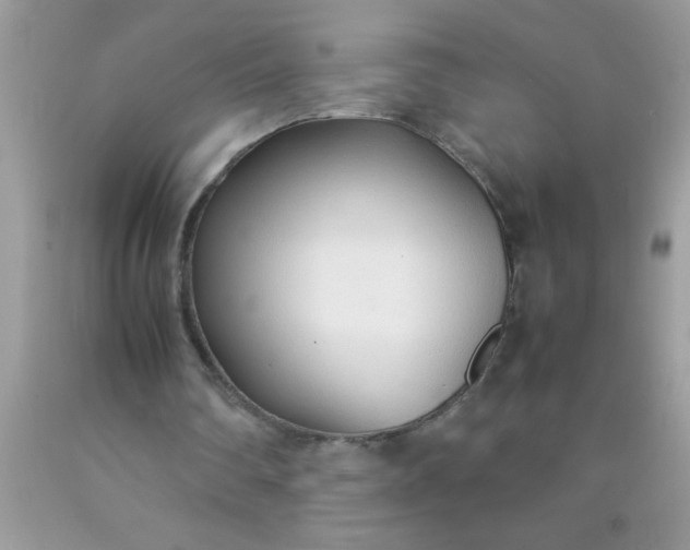 X0000090450290200707272221