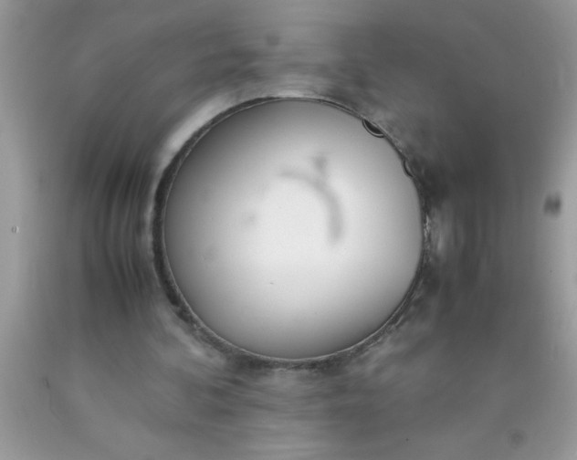 X0000090450292200707272221