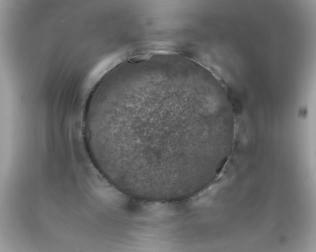 X0000090450293200707272221