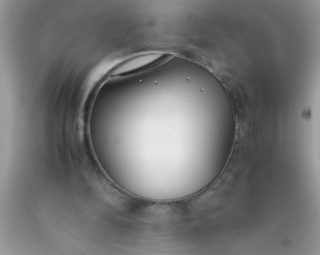 X0000090450294200707272221