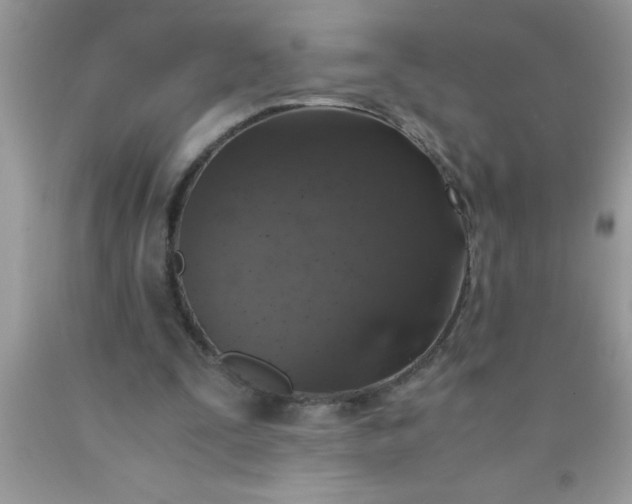 X0000090450295200707272221