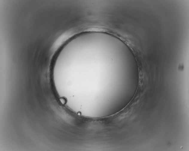 X0000090450296200707272221