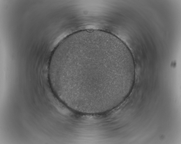 X0000090450297200707272221