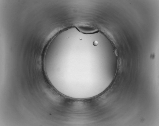 X0000090450298200707272221