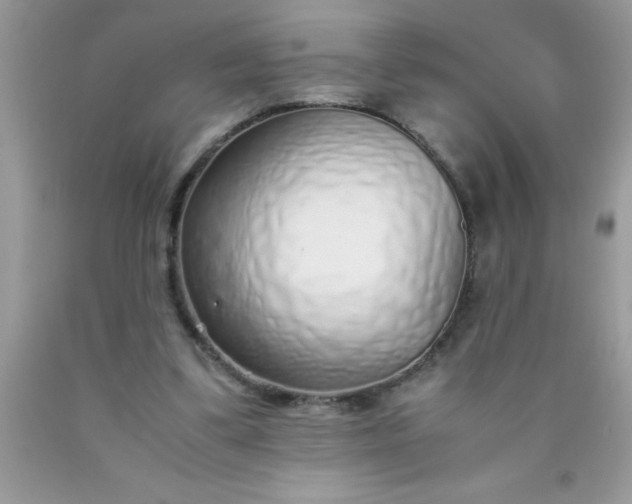 X0000090450299200707272221