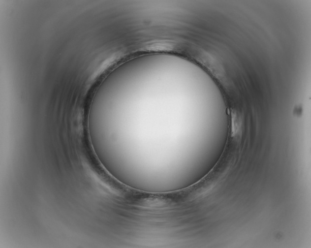 X0000090450300200707272221