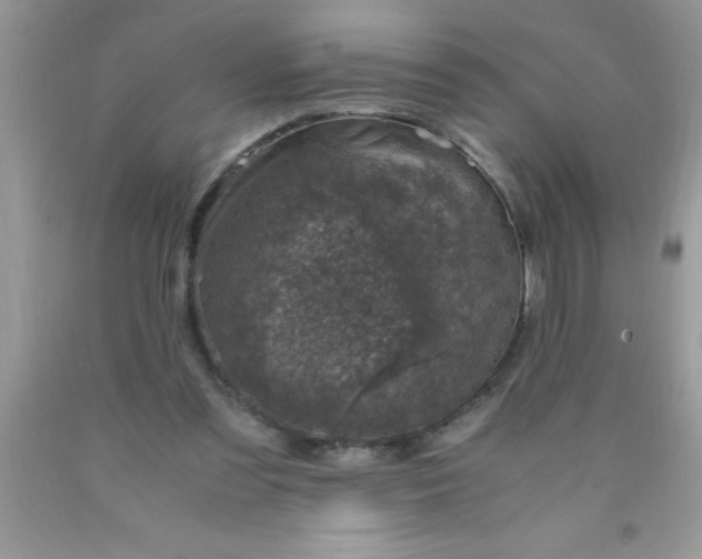 X0000090450301200707272221