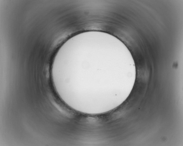 X0000090450302200707272221