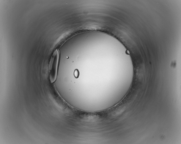 X0000090450304200707272221