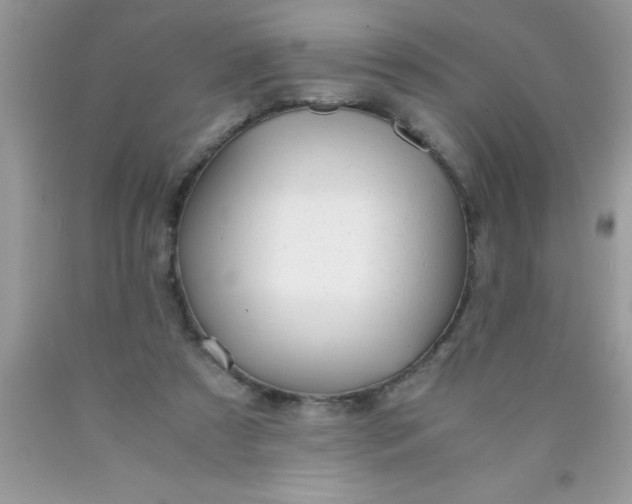 X0000090450305200707272221