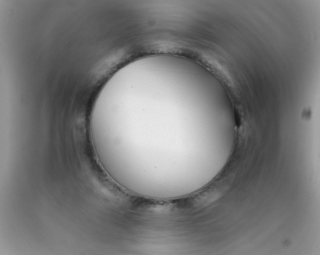 X0000090450306200707272221