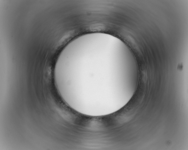 X0000090450308200707272221