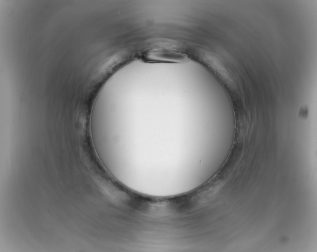 X0000090450309200707272221