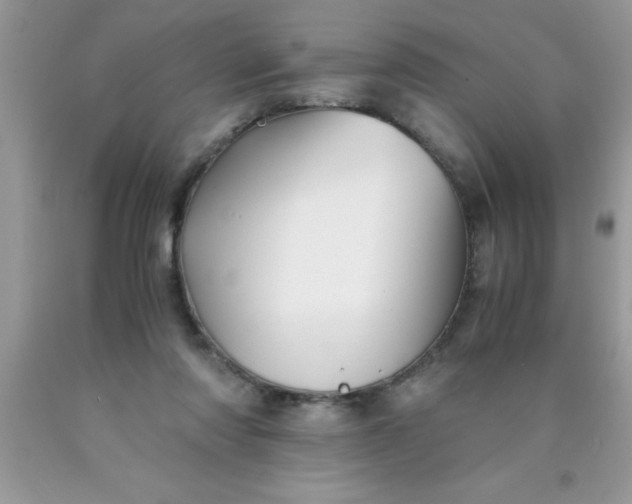 X0000090450310200707272221