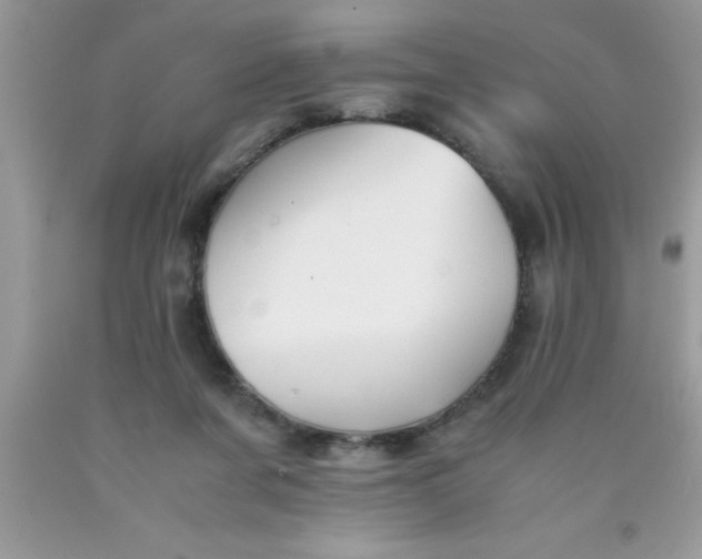 X0000090450311200707272221