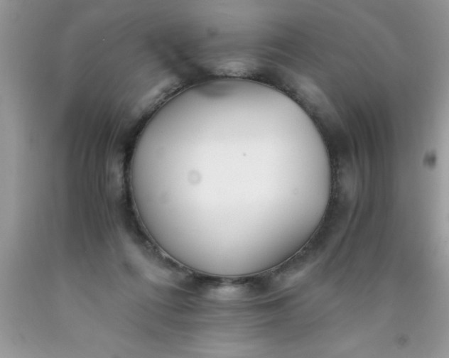 X0000090450312200707272221