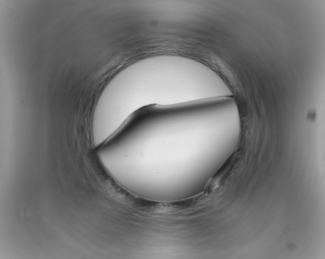 X0000090450313200707272221