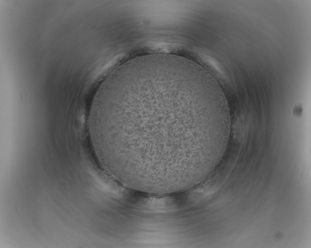 X0000090450314200707272221