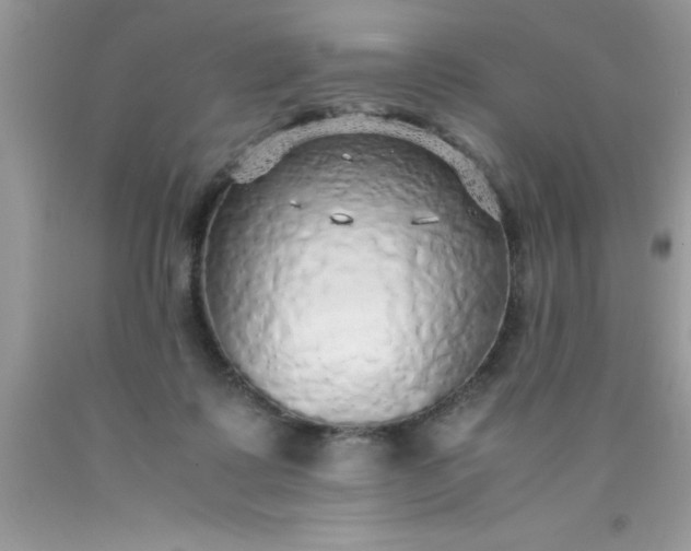 X0000090450315200707272221