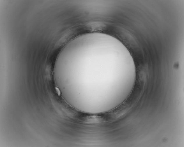 X0000090450316200707272221