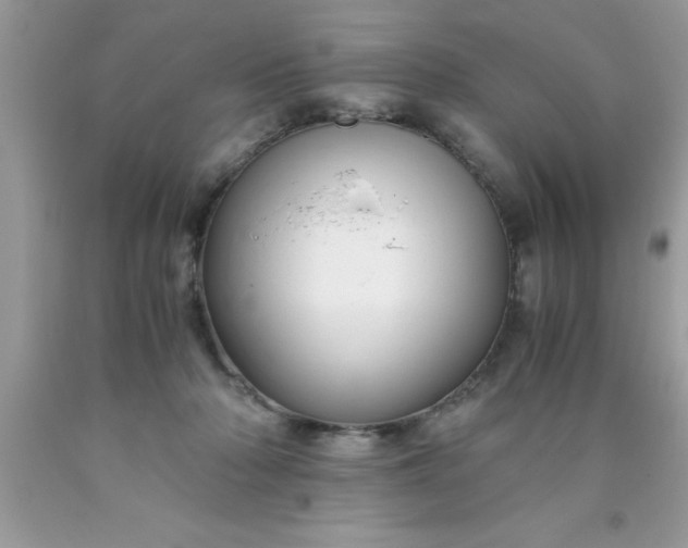 X0000090450318200707272221