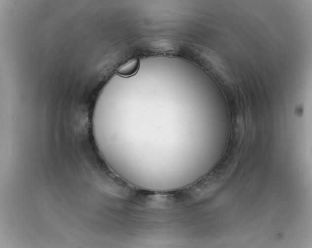 X0000090450320200707272221