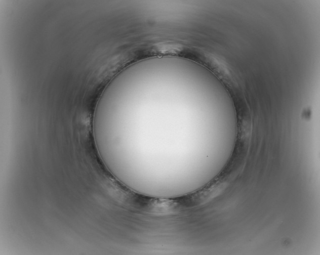 X0000090450321200707272221