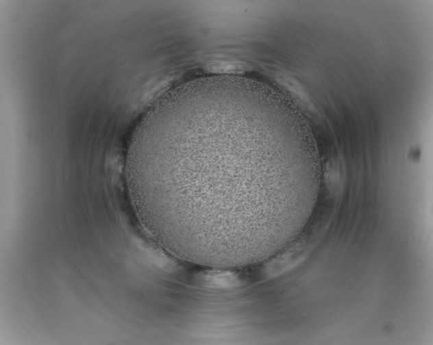 X0000090450322200707272221