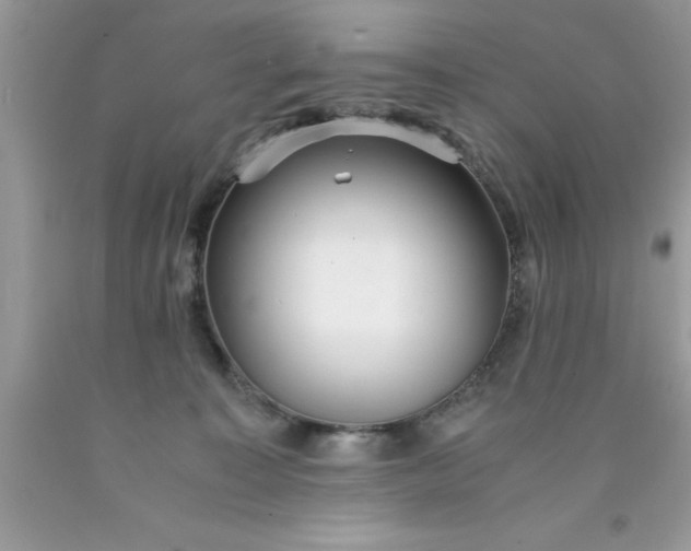 X0000090450323200707272221